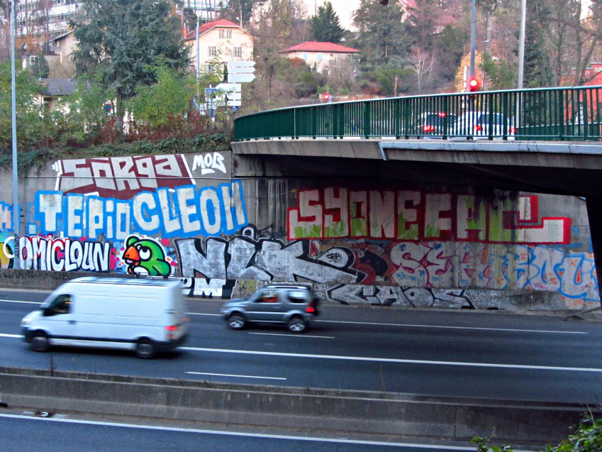 Syone (GN - FAC), spray, pont Raymond Poincaré, Saint-Clair, 2021
